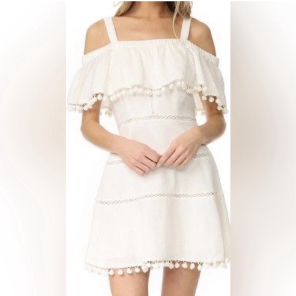 Red Carter white aster pom mini